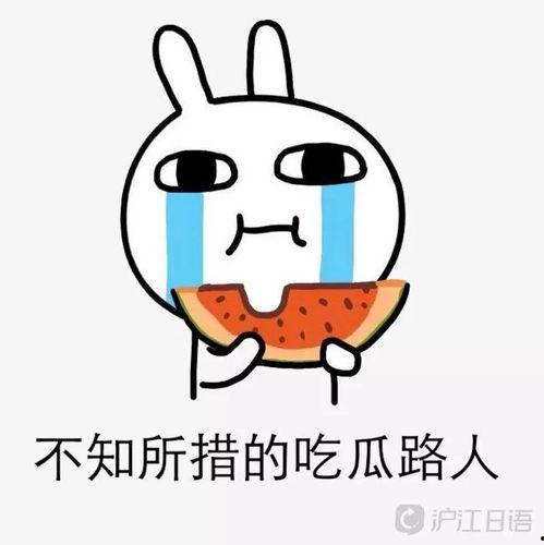 娱乐圈吧吃瓜,揭秘明星幕后故事，吃瓜群众狂欢盛宴